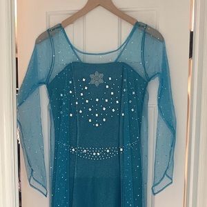 Adult Elsa Frozen costume and wig